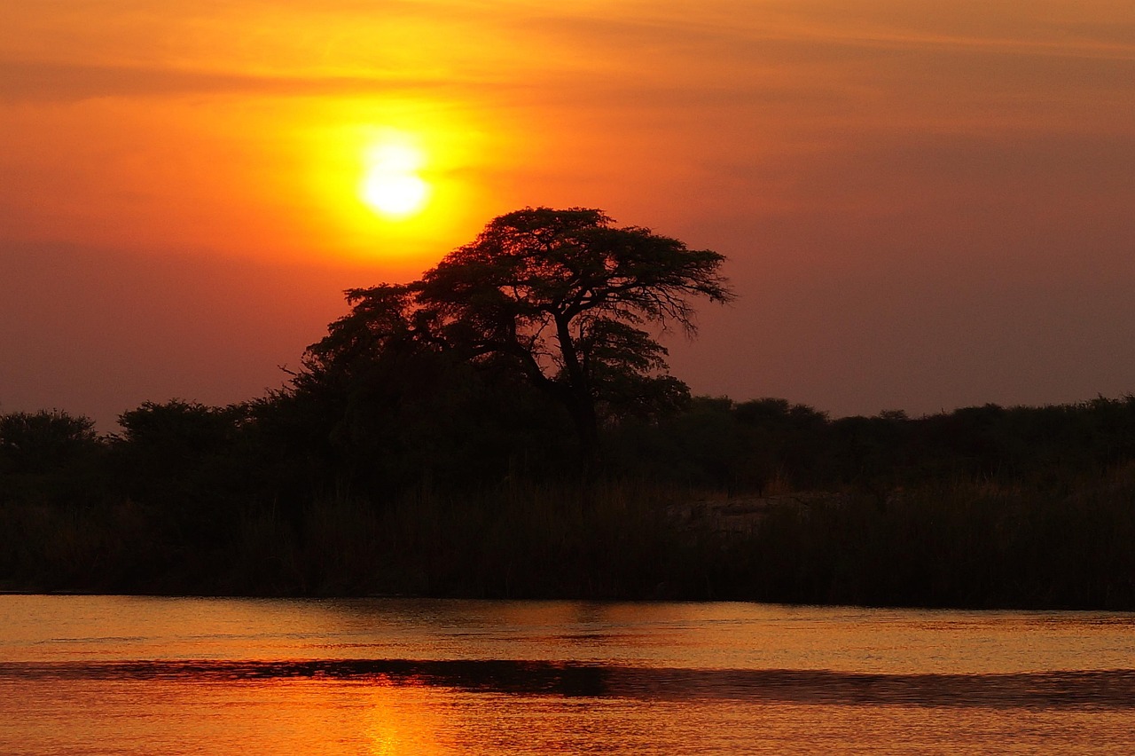 Sunset, river, silhouettes, nature, trees, tree silhouettes, sun, dusk, twilight, sunlight, orange sky, woods, scenery, scenic, countryside, okavango delta, botswana