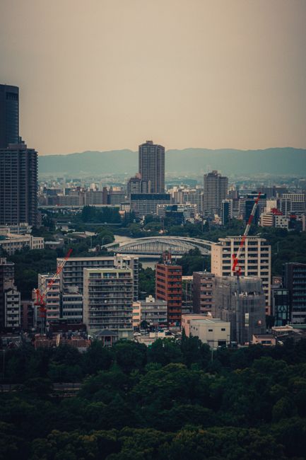 Panoramic view of Osaka's cityscape showcasing urban density, architecture, and natural surroundings.