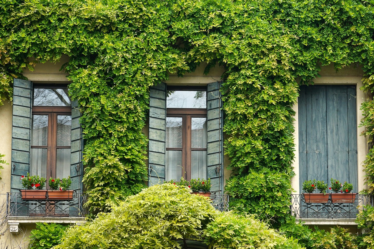 Window, ivy, shutter, balcony, house, italy, padua, town, facade, home, window, window, window, window, ivy, balcony, house, house, italy, italy, italy, home, home, home, home, home