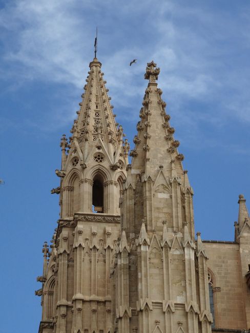 Detailed view of the Gothic architecture of Palma Cathedral in Spain against a clear sky.