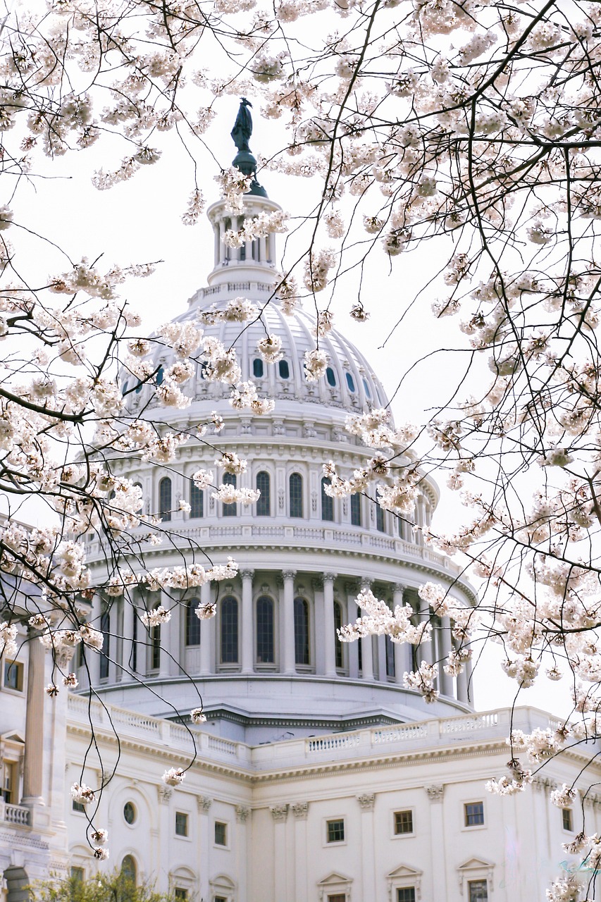 Capital, usa, government, phone wallpaper, landmark, america, architecture, washington, congress, senate, building, dc, historic, history, travel, memorial, monument, capitol, city, symbol, famous, to