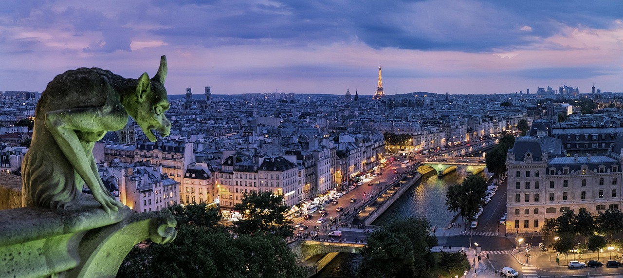 Paris, gargoyle, france, architecture, buildings, capital, gothic, city, city lights, cityscape, europe, historic, historical, landmark, river, seine, evening, night, paris, paris, paris, paris, paris