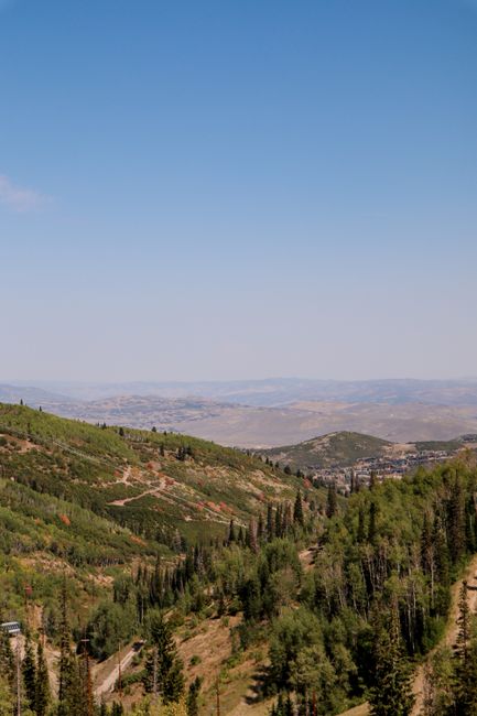 From above of amazing landscape of green trees located on high hills against cloudless sky