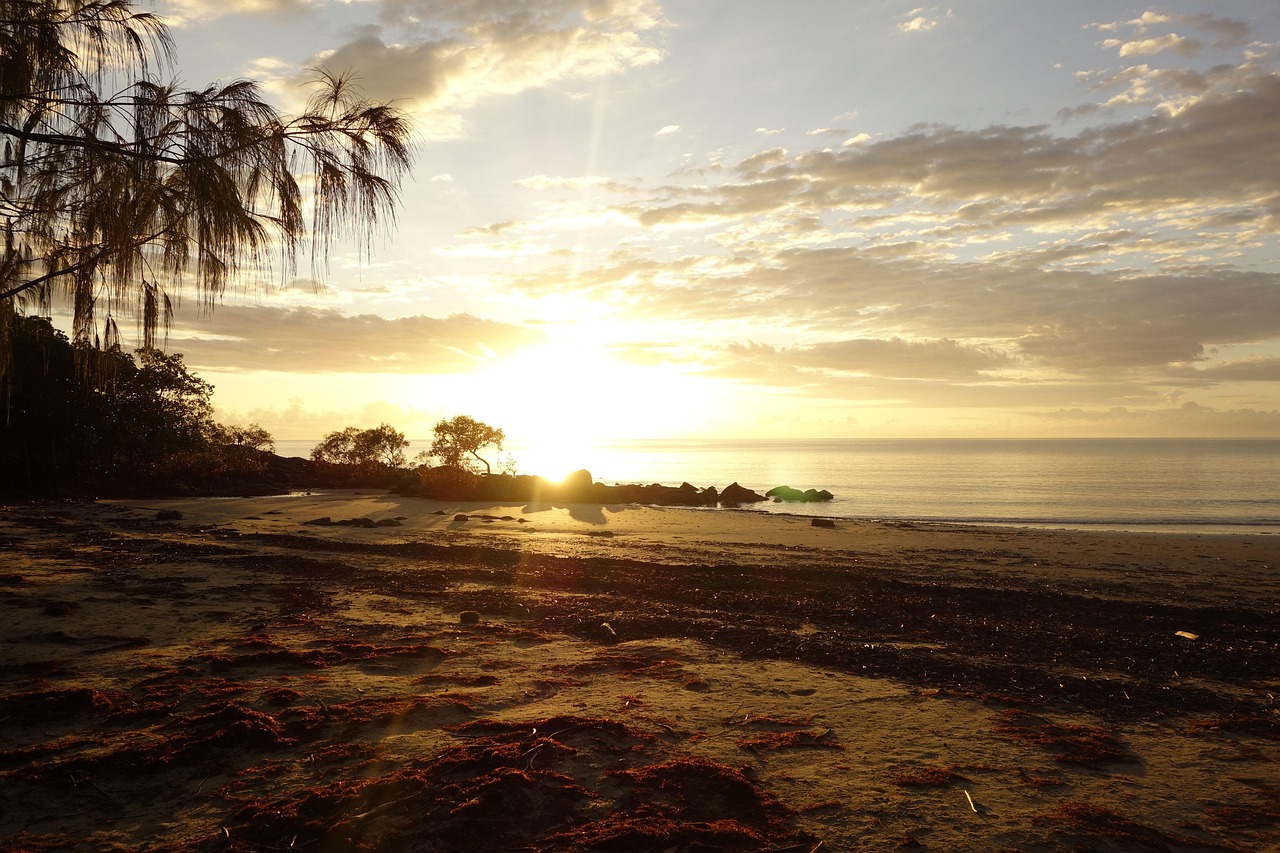Nature, australia, port douglas, port douglas, port douglas, port douglas, port douglas, port douglas