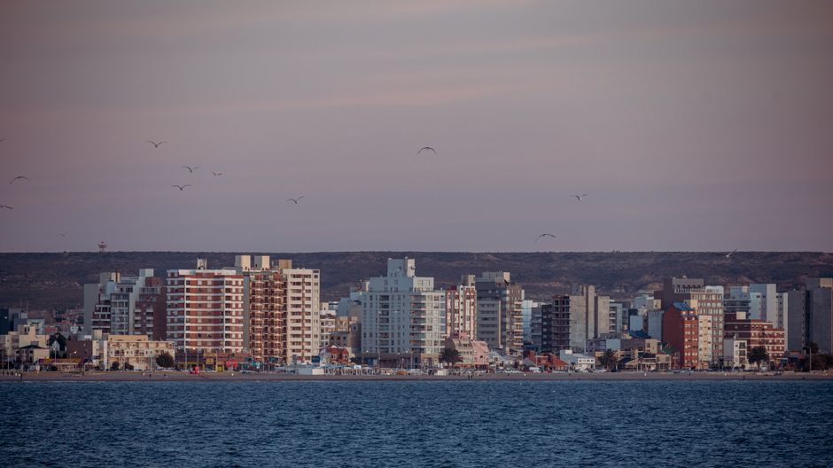 Cityscape of urban waterfront at dusk with skyline, tranquil sea, and birds.