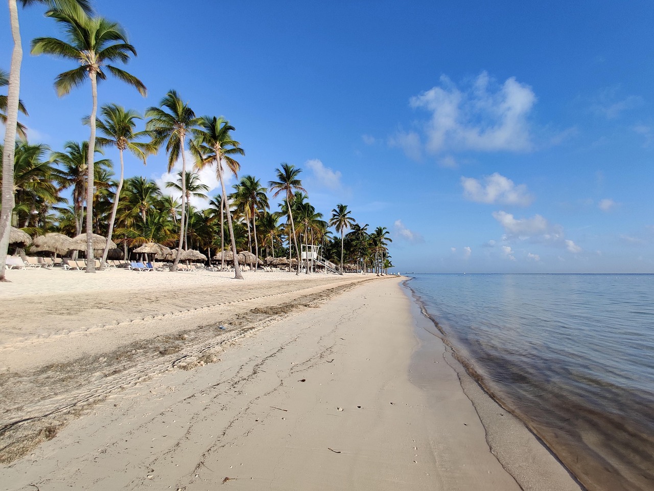 Pages, caribbean, coconut, holiday, beach, relax, palm trees, sea, summer, nature, paradise, ocean, tropical, sky, landscape, hotel, dominican republic, punta-cana, bavaro-beach, dominican republic, d