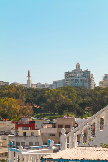 Scenic city skyline with park view from rooftop under clear blue sky.