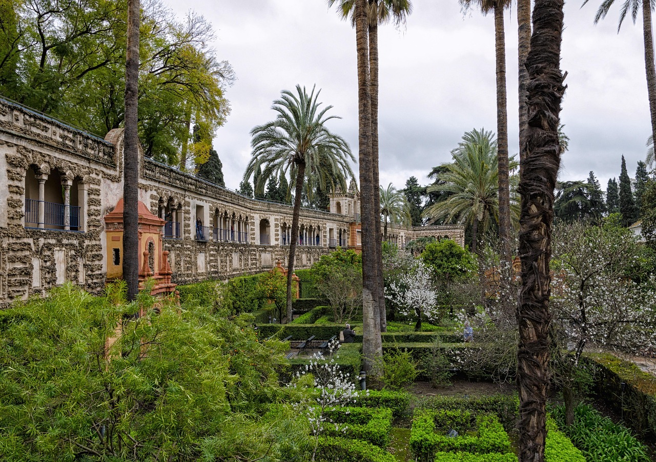 Architecture, tree, building, old, travel, palm tree, tourism, city, ancient, nature, plant, wall, spain, andalusia, seville, alcazar, palace, royal palace, seville, seville, seville, seville, seville