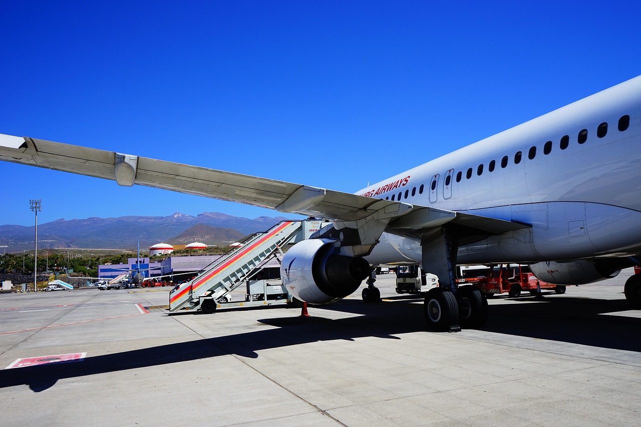 Airport, tenerife, runway, plane, arrival, land, landing, reina sofía, tenerife south