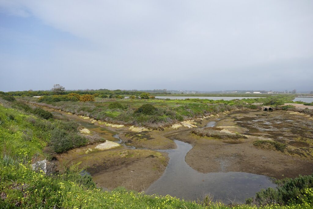 Ria Formosa Natural Park, Portugal: Ria Formosa seen from Ludo Trail 04