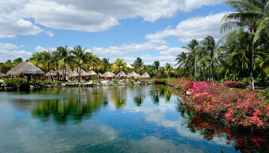 Serene tropical resort in Playa del Carmen, Mexico with lush palm trees and vibrant reflections in a tranquil lake.
