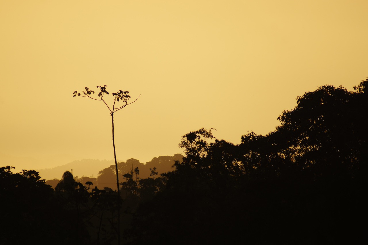 Sunsets, salento, quindio, colombia