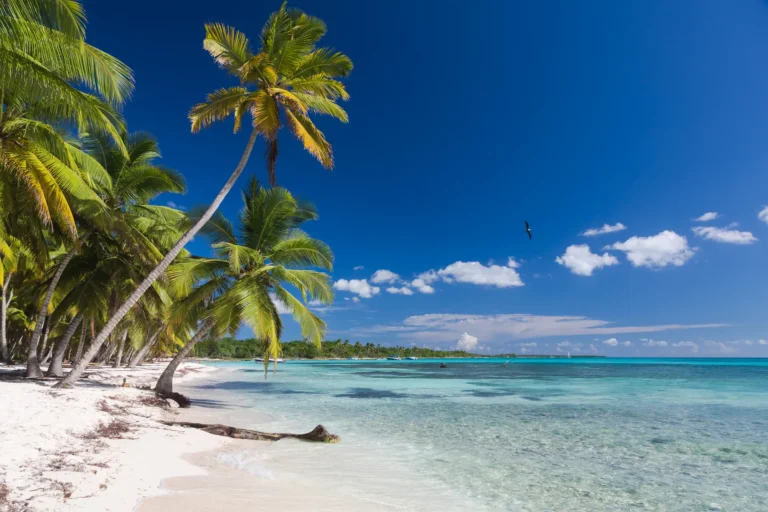 Dominican Republic Travel Guide