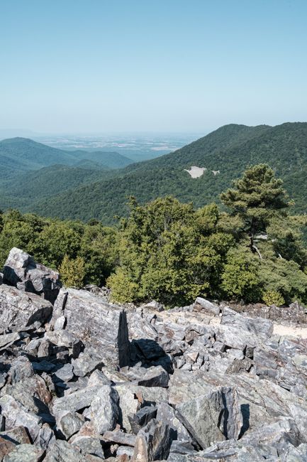 Panoramic view of the Blue Ridge Mountains in Shenandoah National Park during summer.