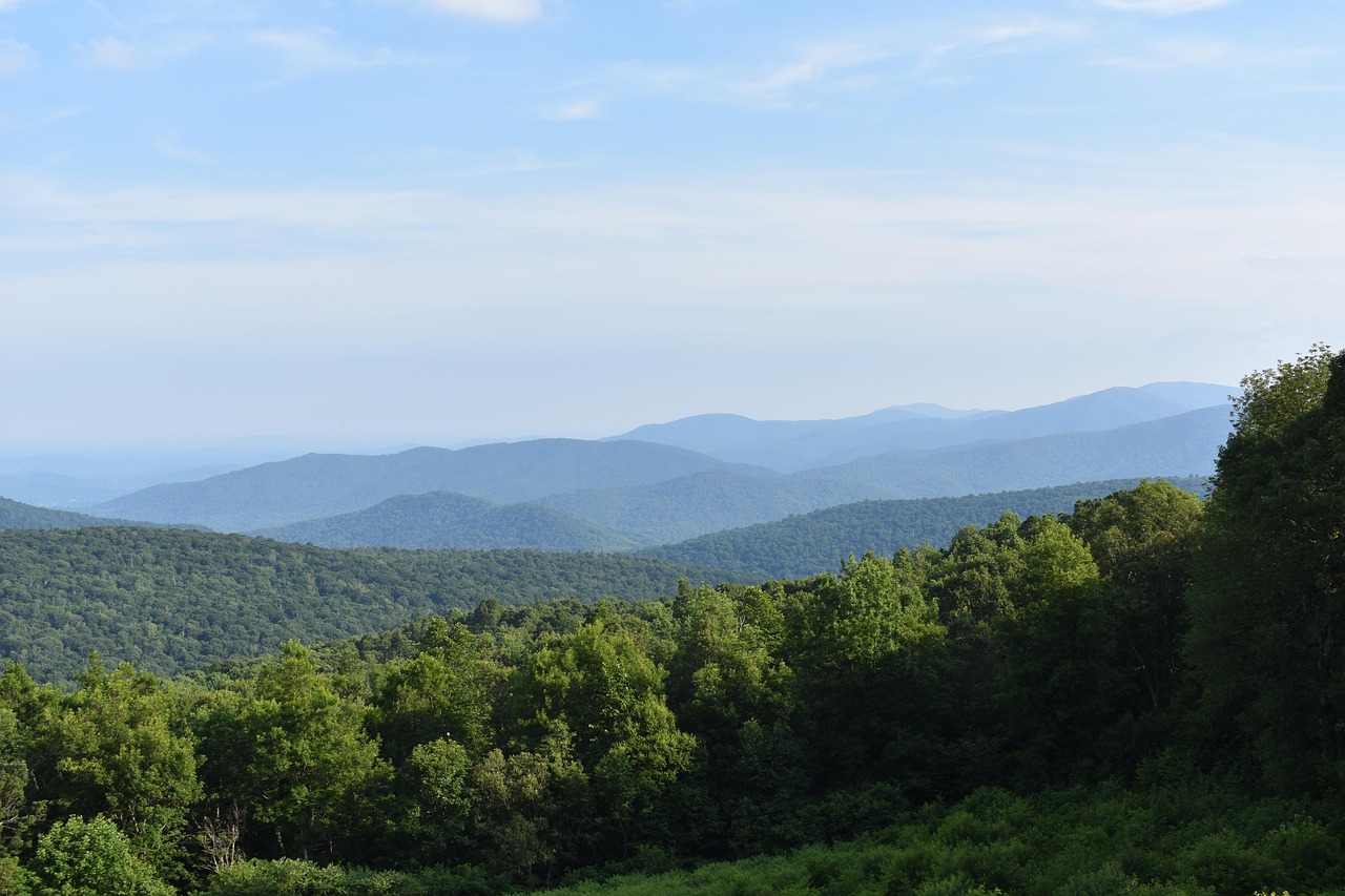 Overlook, view, hike, sky, mountains, nature, landscape, trees, scenic, virginia, tourism, national park, national, park, shenandoah, bears, america, virginia, shenandoah, shenandoah, shenandoah, shen