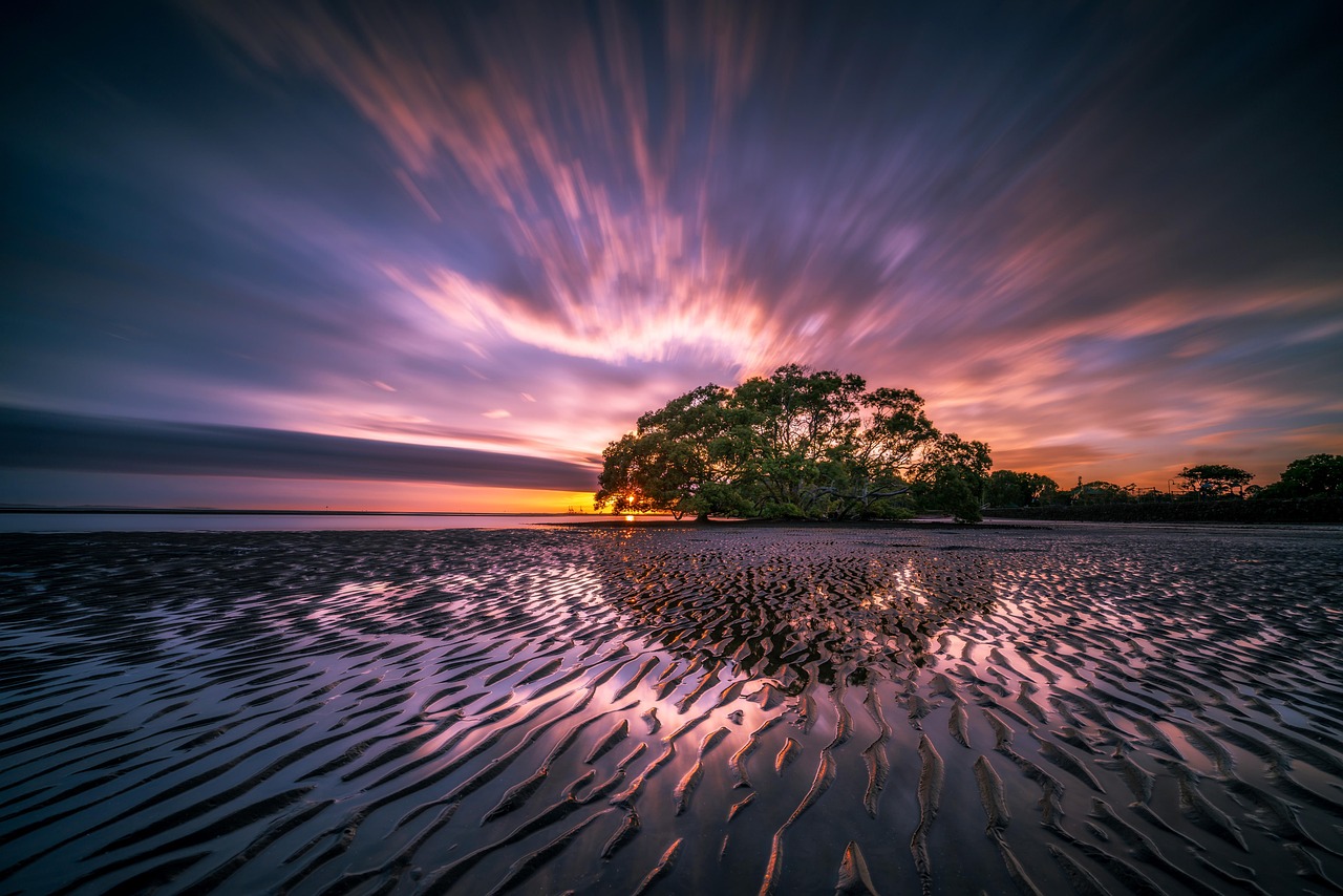 Beach, coast, sunrise, low tide, sand, dunes, reflection, water, sea, ocean, seashore, sunlight, dawn, glow, landscape, long exposure, scenic, scenery, natural, tree, nature, nudgee beach, australia,