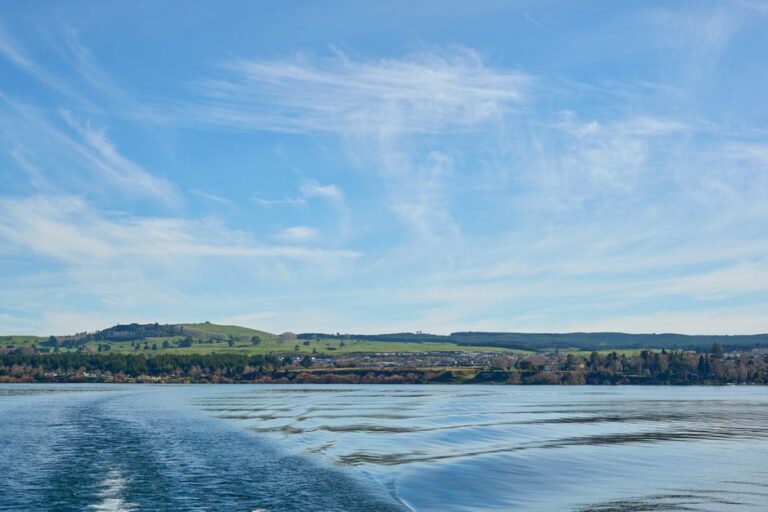 Tranquil summer scene of Lake Taupō, New Zealand, with rolling hills and a vivid blue sky.