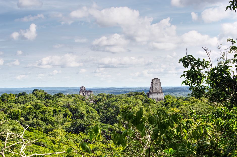 Explore the ancient Mayan ruins nestled within the lush jungles of Tikal National Park, Guatemala.