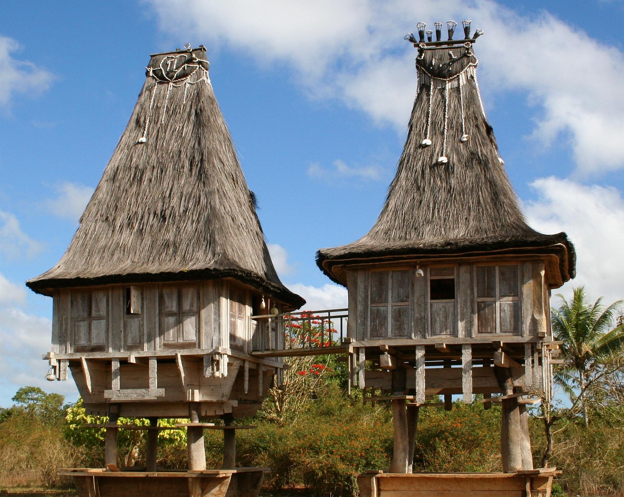 Wooden, timor-leste, traditional, asia, architecture, building, city, architecture design, structure, home, house, residential, estate, property, exterior, residence, dwelling, housing, construction,