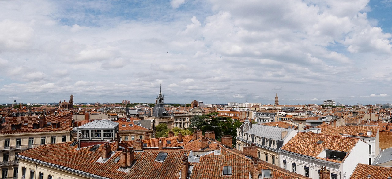 Buildings, roofs, skyline, red bricks, architecture, city, town, toulouse, occitania, france, toulouse, toulouse, toulouse, toulouse, toulouse