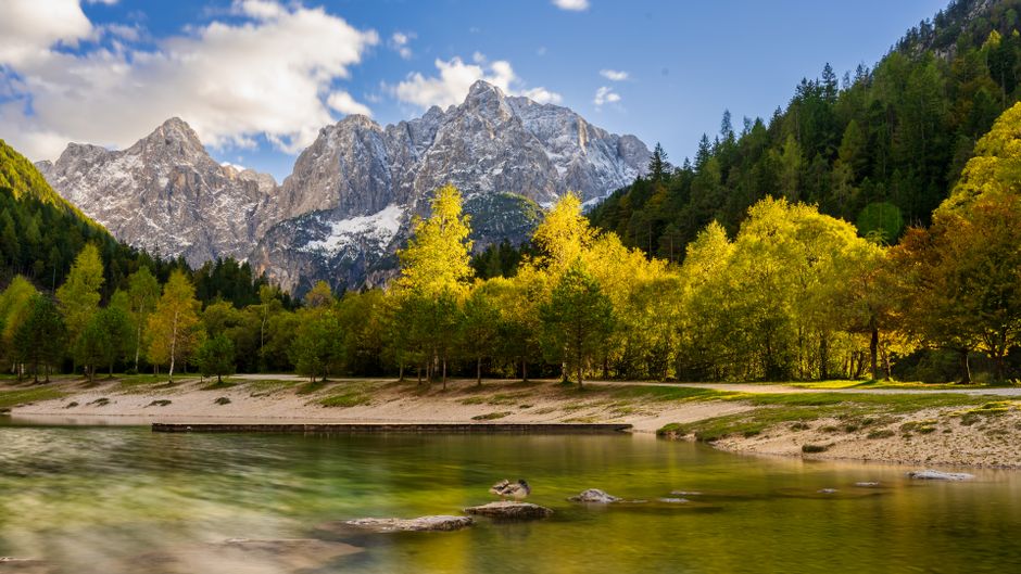 Capture of a serene Alpine lake surrounded by vibrant autumn foliage in Jesenice, Slovenia.