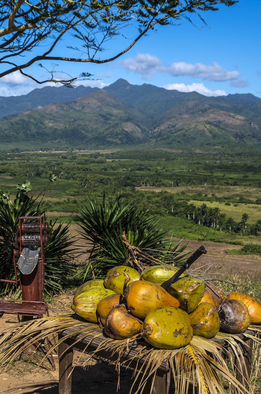 Cuba, trinidad, coconut, trinidad, trinidad, trinidad, trinidad, trinidad