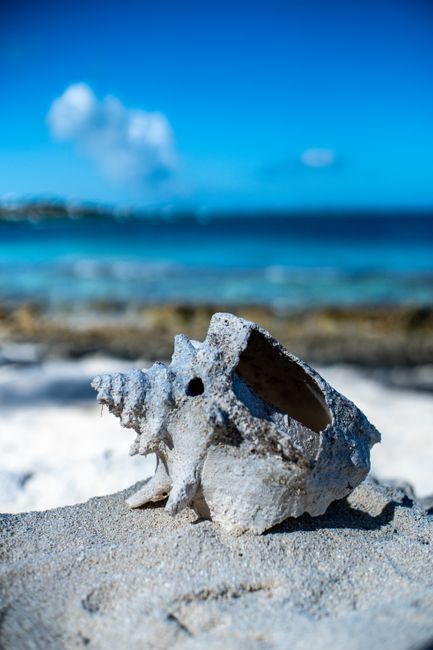Turks and Caicos Islands