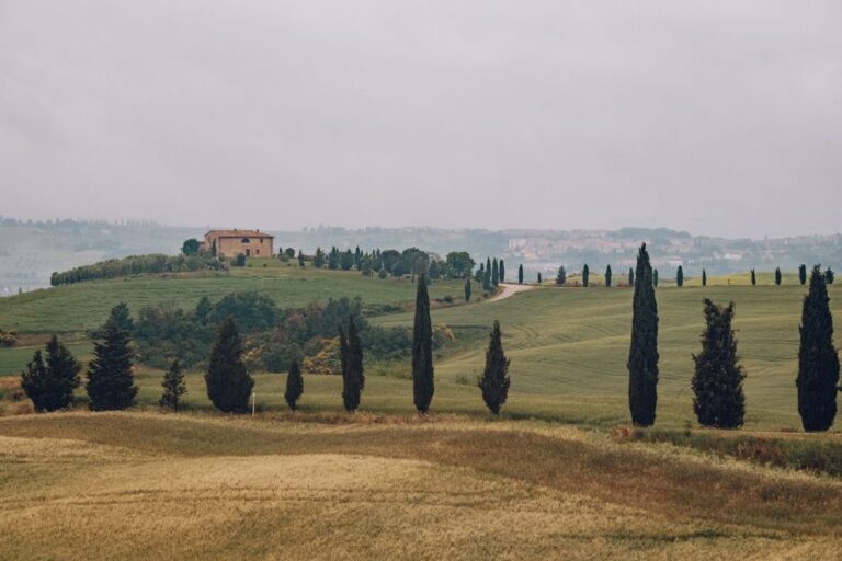 Overcast day in Tuscan hills featuring cypress trees and traditional stone house.