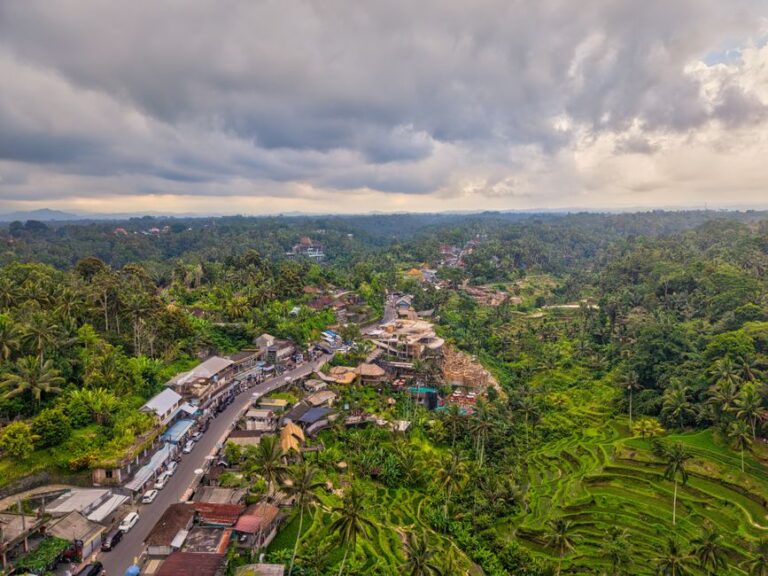 Aerial shot of lush green rice terraces and village in Bali, showcasing vibrant landscapes.