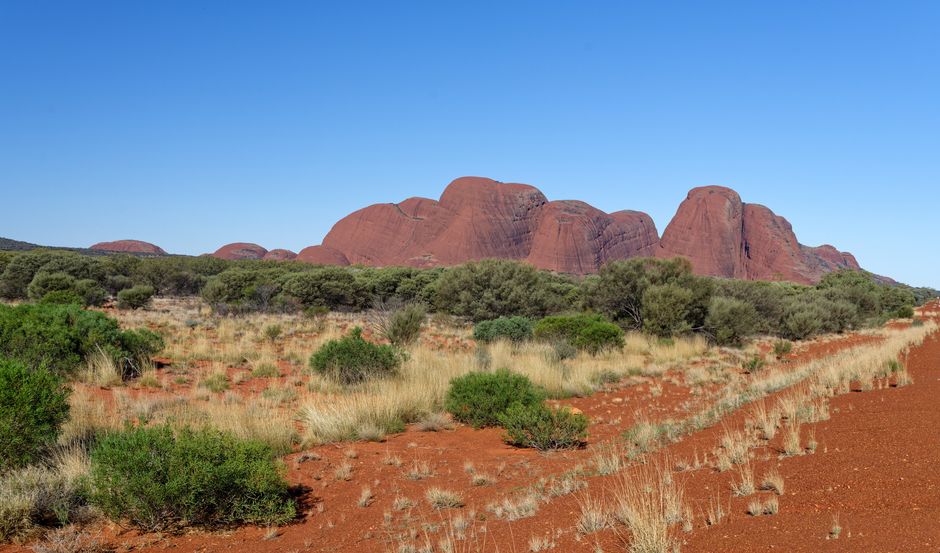 Majestic Kata Tjuta rock formations in Australia's Outback under a clear blue sky.