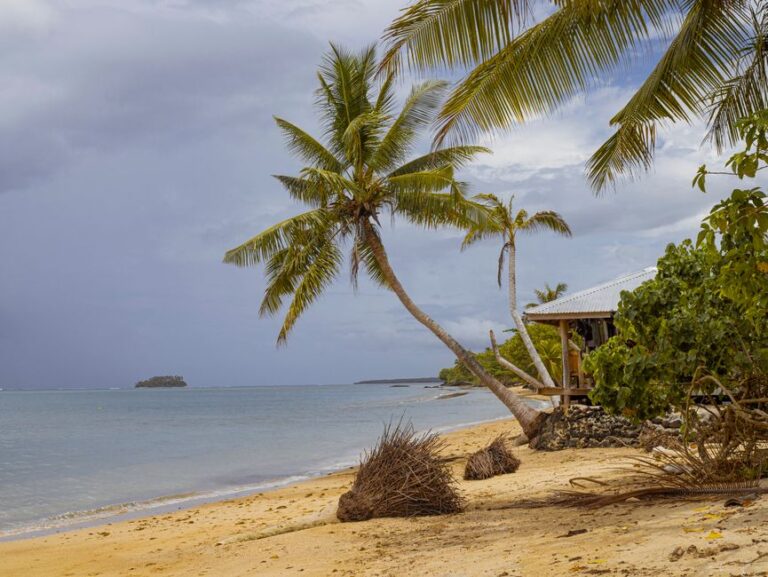 Relaxing tropical beach scene in Apia, Samoa with palm trees and blue ocean waters.