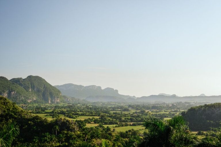 A breathtaking panoramic view of Viñales Valley's lush greenery and limestone hills in Cuba.