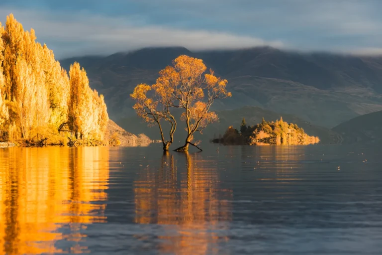 New Zealand Travel Guide