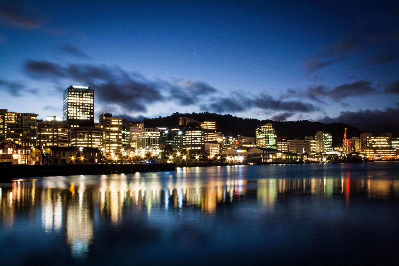 New zealand, wellington, port, bay, water, skyline, nature, city, dusk, sunset, center, blue, hour, lights, office building, building