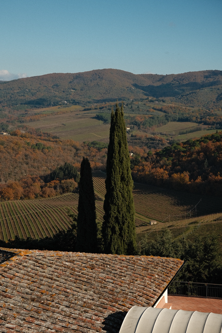 A stunning view of the Tuscan landscape featuring cypress trees and vineyards.
