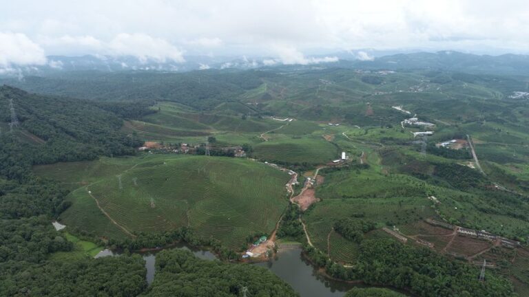 Scenic aerial view of lush fields and mountains in Xishuangbanna, Yunnan, China.