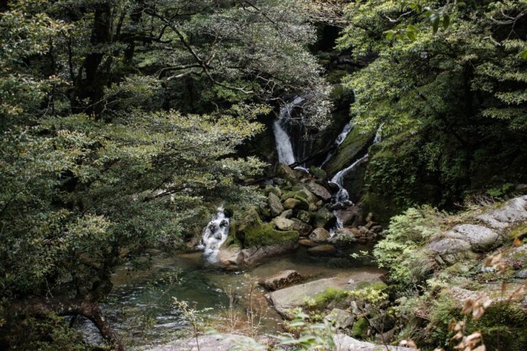 A tranquil waterfall amidst lush green forest in Yakushima, Japan, showcasing natural beauty.