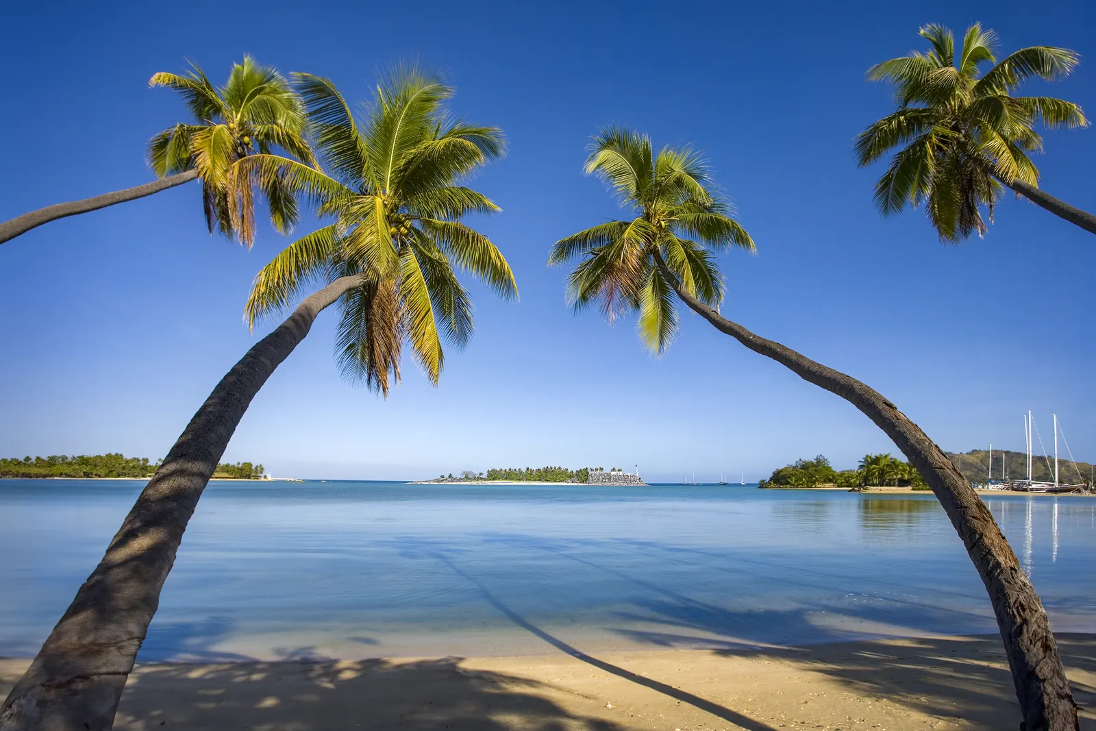 Palm trees framing the turquoise water of a Yasawa Islands beach, Fiji