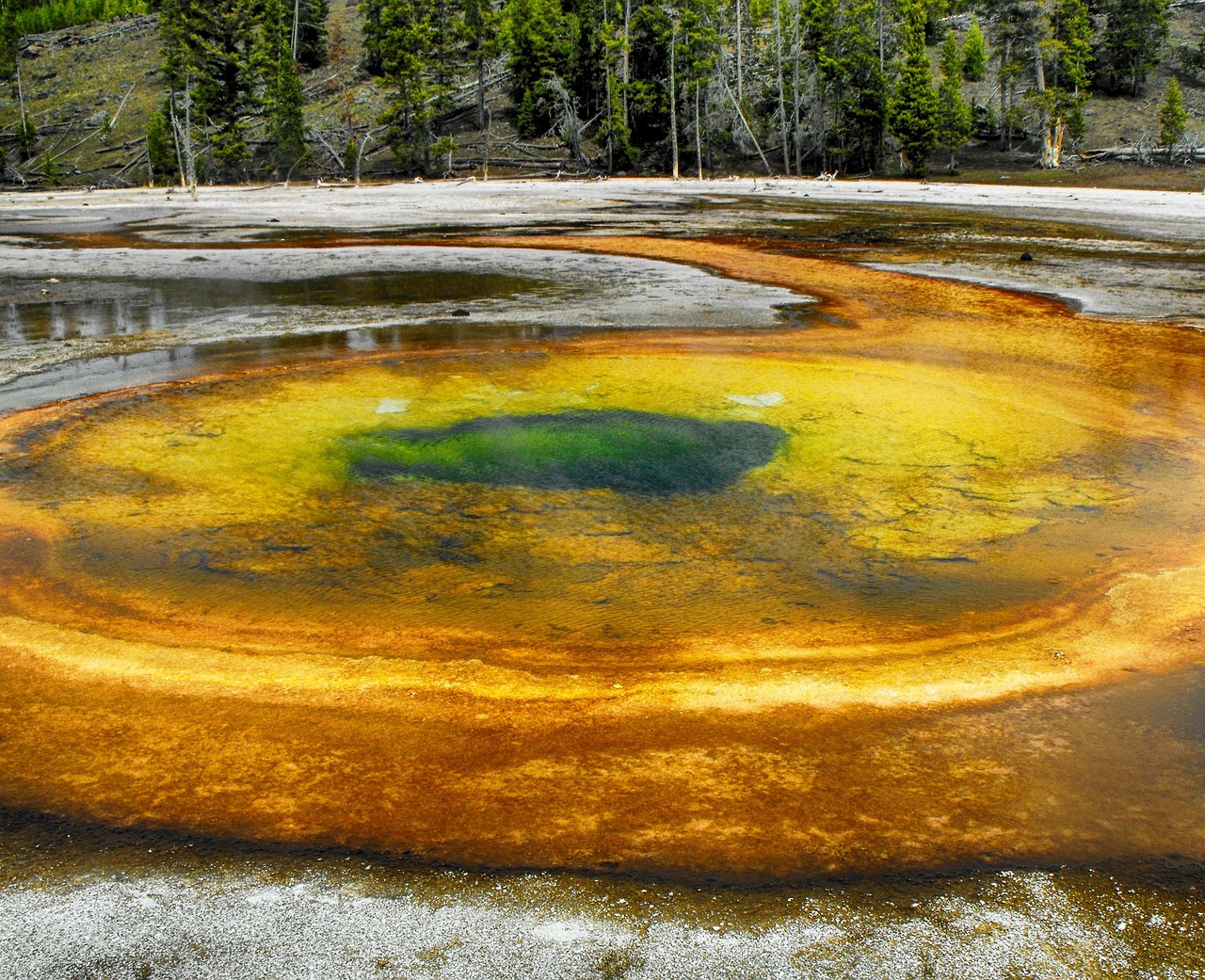 Geyser, national park, wyoming, yellowstone, national, park, hot, water, steam, landscape, nature, geothermal, basin, blue, america, volcanic, old, travel, states, united, volcano, usa, spring, geyser