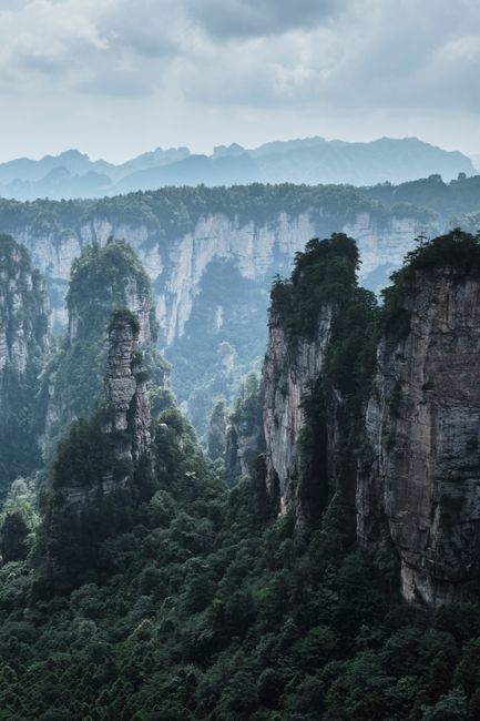 Breathtaking view of towering mountain peaks and lush forests in Zhangjiajie, China.