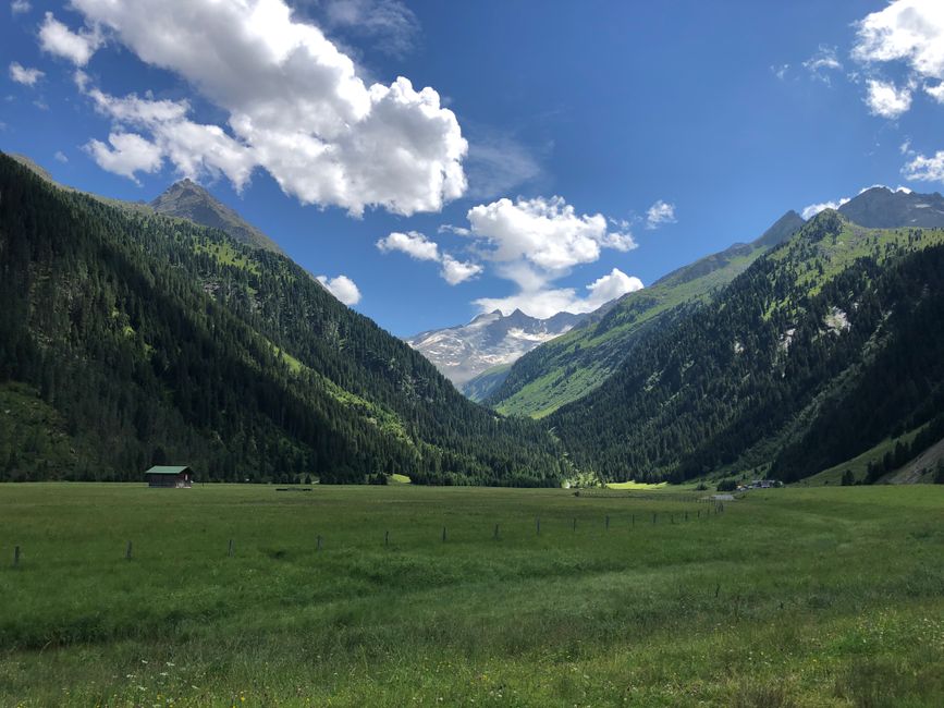Serene view of a lush valley in Königsleiten, Austria, under a clear blue sky.
